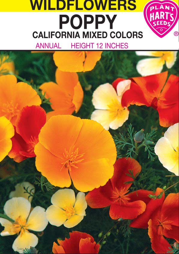 Poppy California Mixed