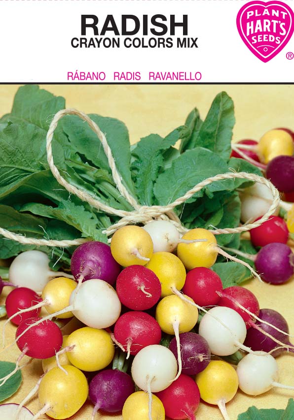 Radish Crayon Colors Mix