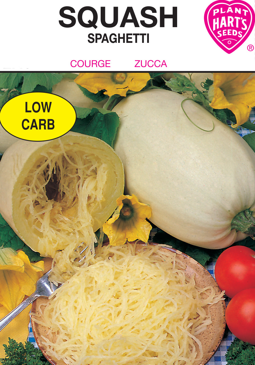 Squash Spaghetti