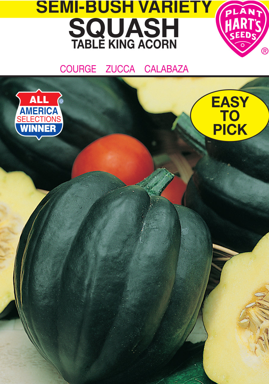 Squash Table King (Acorn)