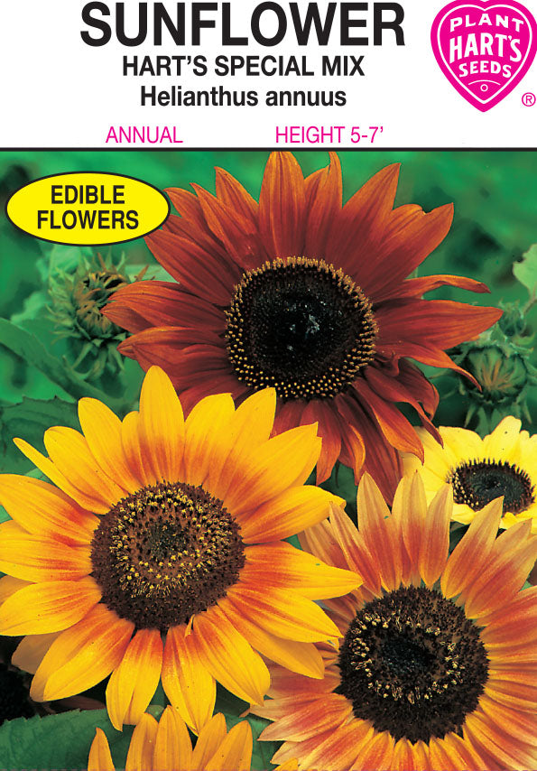 Sunflower Hart's Special Mix