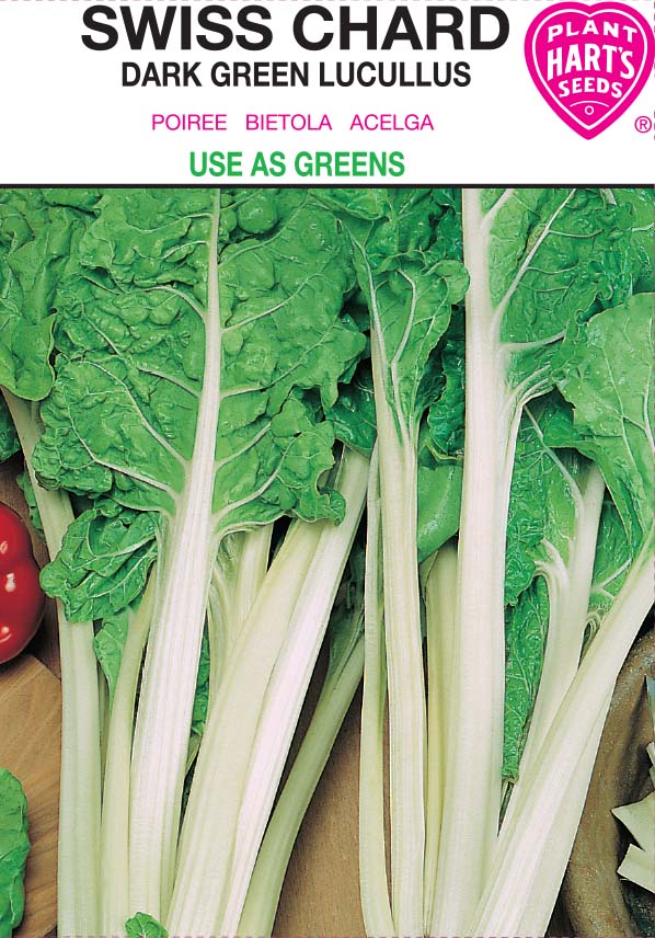 Swiss Chard Lucullus