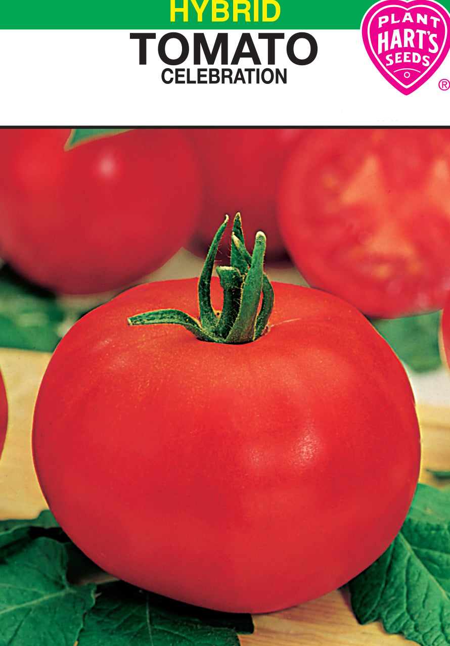Tomato Celebration