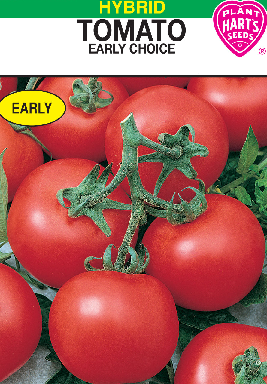 Tomato Early Choice