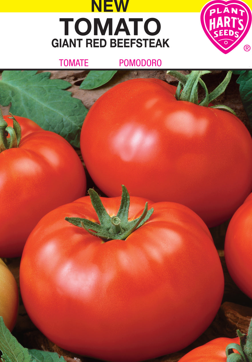 Tomato Giant Red Beefsteak