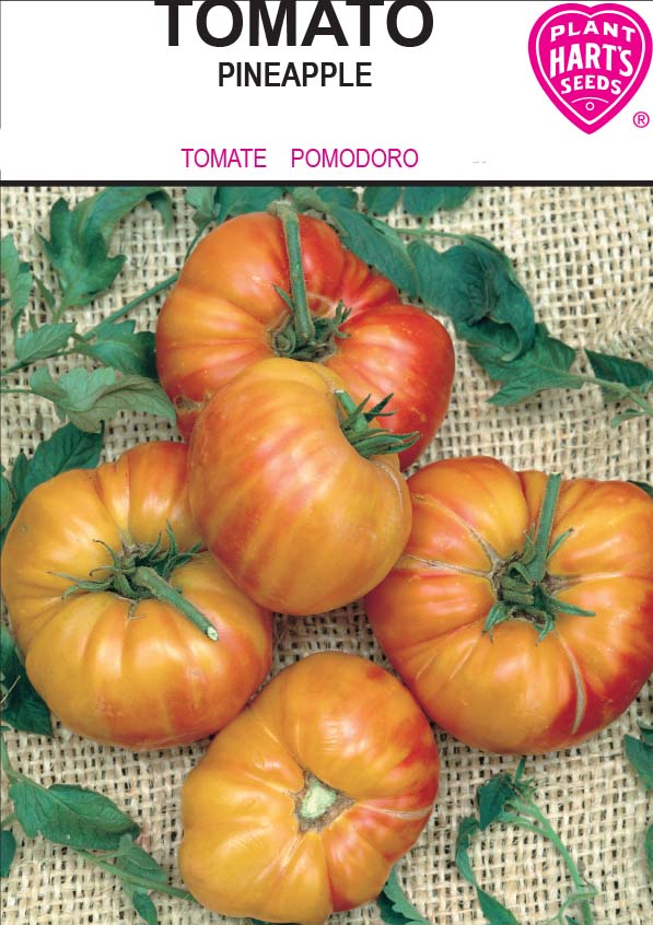 Tomato Pineapple