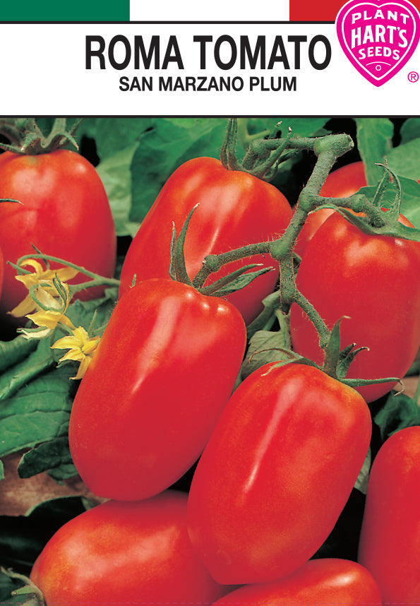 Tomato San Marzano Roma