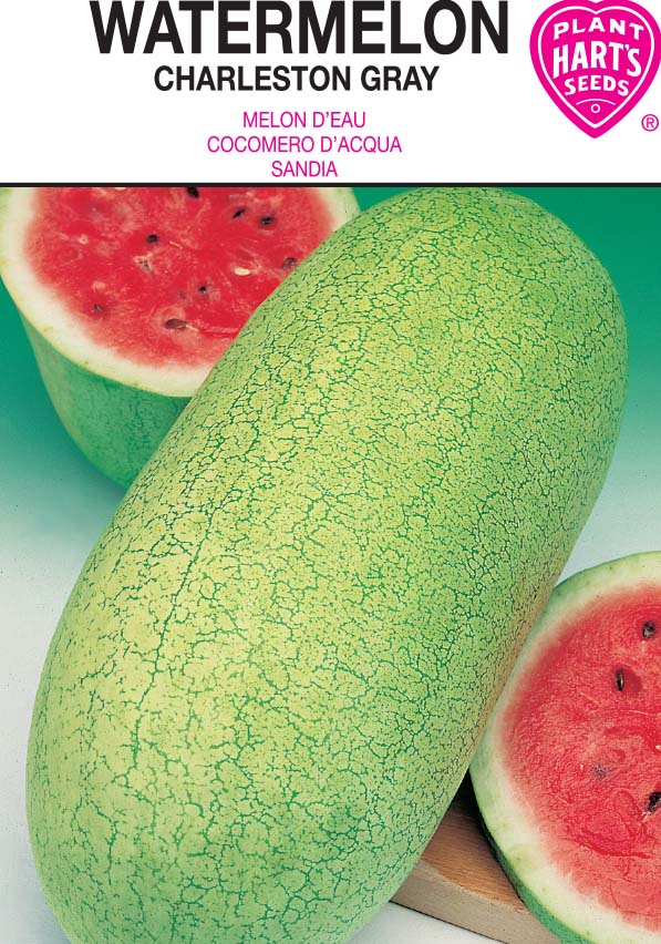 Watermelon Charleston Gray