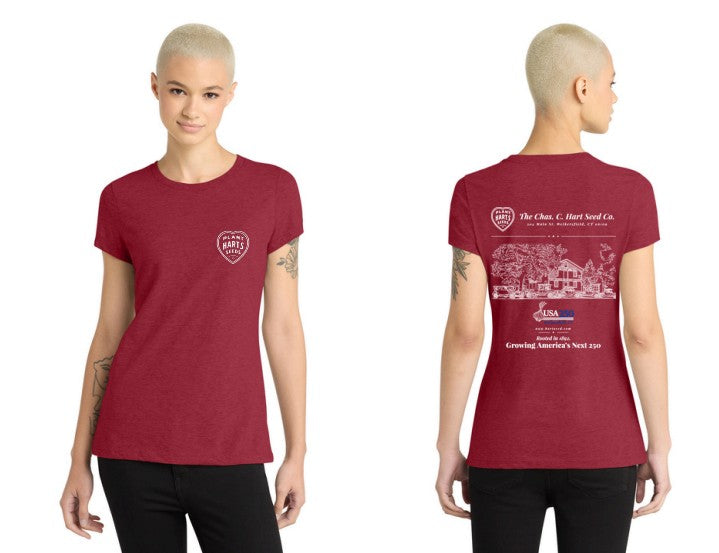 T-Shirt Women's USA 250