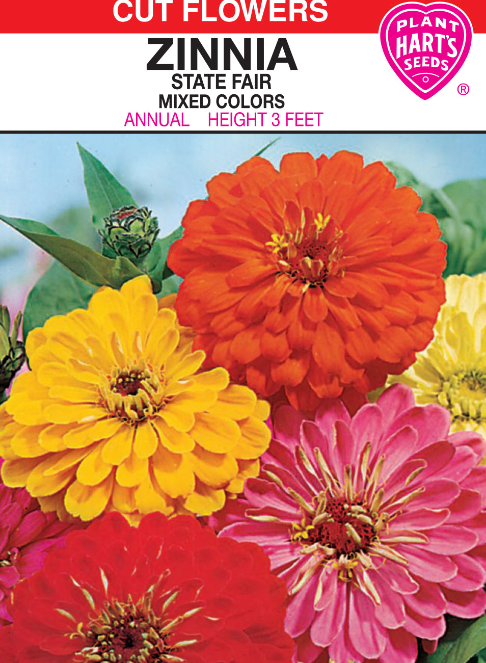 Zinnia State Fair